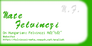 mate felvinczi business card